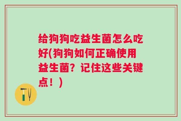 给狗狗吃益生菌怎么吃好(狗狗如何正确使用益生菌？记住这些关键点！)