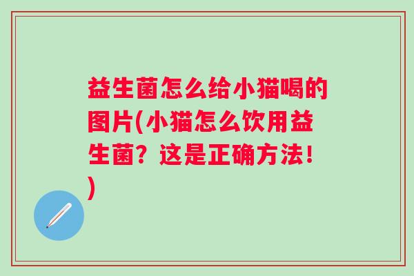 益生菌怎么给小猫喝的图片(小猫怎么饮用益生菌？这是正确方法！)