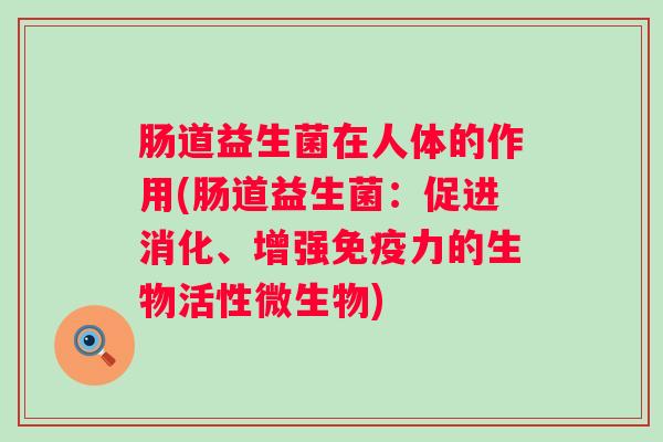 肠道益生菌在人体的作用(肠道益生菌：促进消化、增强力的生物活性微生物)
