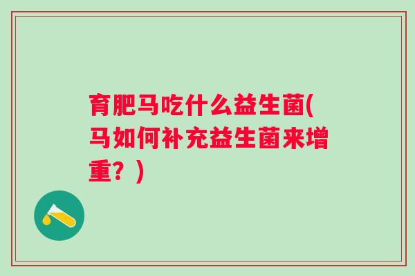 育肥马吃什么益生菌(马如何补充益生菌来增重？)