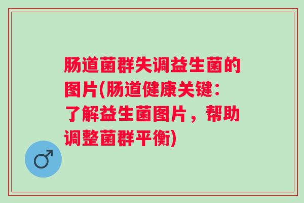 肠道菌群失调益生菌的图片(肠道健康关键:了解益生菌图片,帮助调整菌群平衡) 肠道菌群失调益生菌的图片(肠道健康关键:了解益生菌图片,帮助调整菌群平衡)