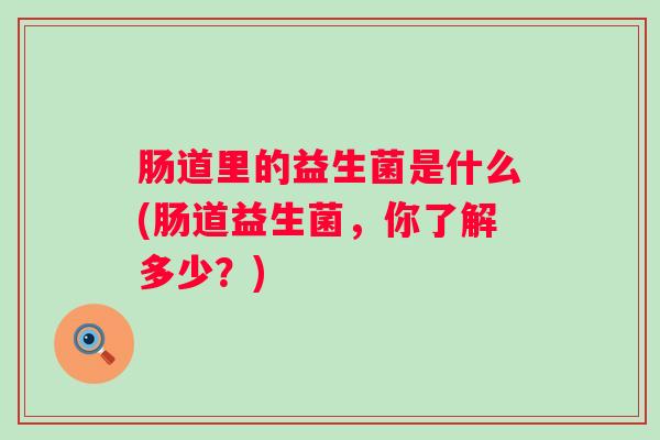 肠道里的益生菌是什么(肠道益生菌，你了解多少？)