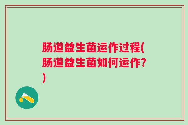 肠道益生菌运作过程(肠道益生菌如何运作？)