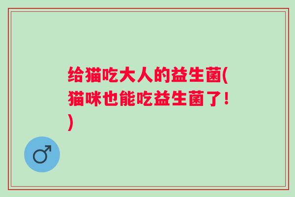 给猫吃大人的益生菌(猫咪也能吃益生菌了！)
