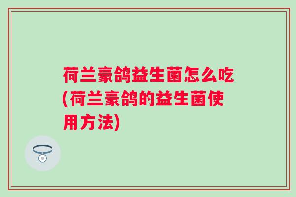 荷兰豪鸽益生菌怎么吃(荷兰豪鸽的益生菌使用方法)