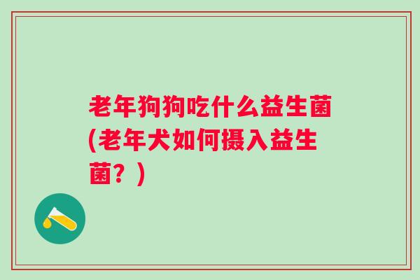 老年狗狗吃什么益生菌(老年犬如何摄入益生菌？)