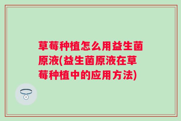 草莓种植怎么用益生菌原液(益生菌原液在草莓种植中的应用方法)