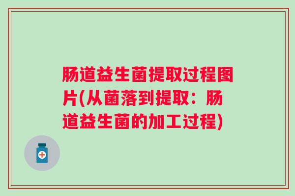 肠道益生菌提取过程图片(从菌落到提取：肠道益生菌的加工过程)