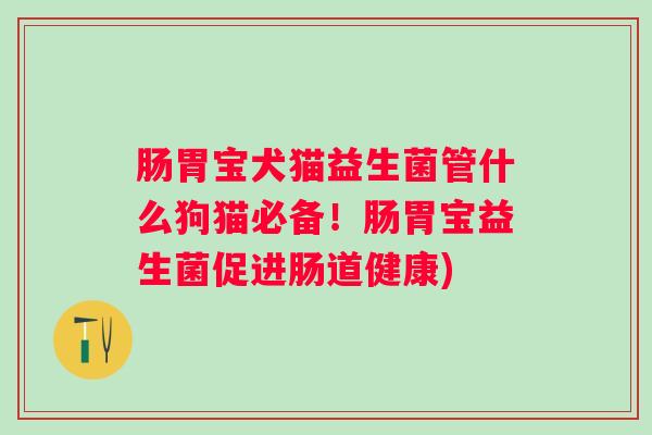 肠胃宝犬猫益生菌管什么狗猫必备！肠胃宝益生菌促进肠道健康)