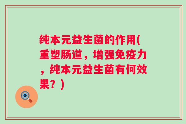 纯本元益生菌的作用(重塑肠道，增强力，纯本元益生菌有何效果？)