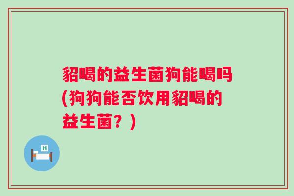 貂喝的益生菌狗能喝吗(狗狗能否饮用貂喝的益生菌？)