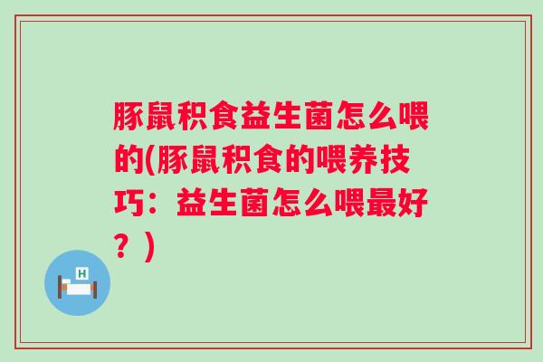 豚鼠积食益生菌怎么喂的(豚鼠积食的喂养技巧：益生菌怎么喂好？)
