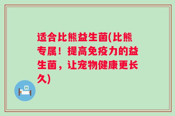 适合比熊益生菌(比熊专属！提高力的益生菌，让宠物健康更长久)