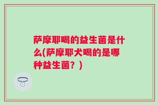 萨摩耶喝的益生菌是什么(萨摩耶犬喝的是哪种益生菌？)