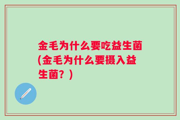金毛为什么要吃益生菌(金毛为什么要摄入益生菌？)