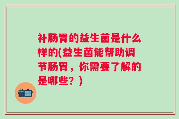 补肠胃的益生菌是什么样的(益生菌能帮助调节肠胃，你需要了解的是哪些？)