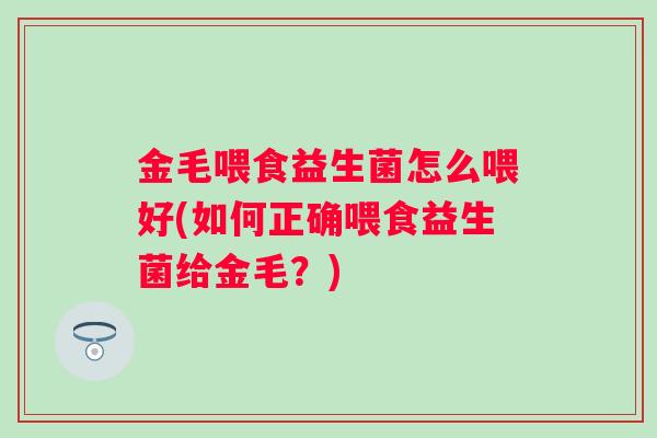 金毛喂食益生菌怎么喂好(如何正确喂食益生菌给金毛?) 金毛喂食益生菌怎么喂好(如何正确喂食益生菌给金毛?)