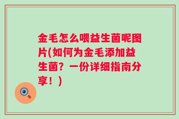 金毛怎么喂益生菌呢图片(如何为金毛添加益生菌？一份详细指南分享！)