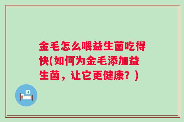 金毛怎么喂益生菌吃得快(如何为金毛添加益生菌，让它更健康？)