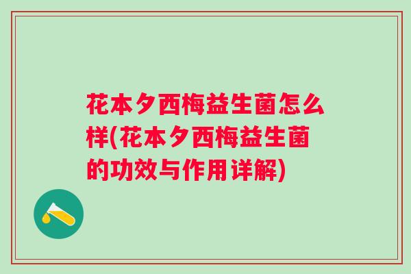 花本夕西梅益生菌怎么样(花本夕西梅益生菌的功效与作用详解)