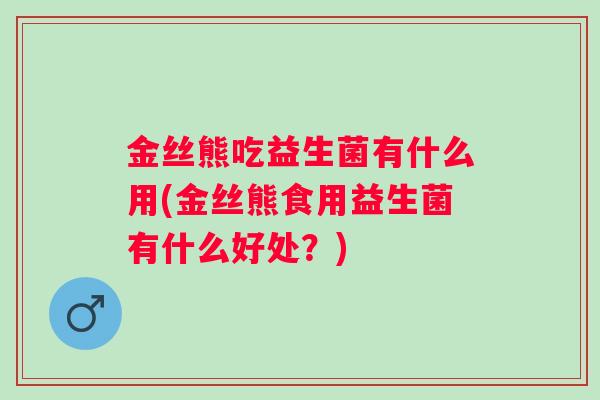 金丝熊吃益生菌有什么用(金丝熊食用益生菌有什么好处？)