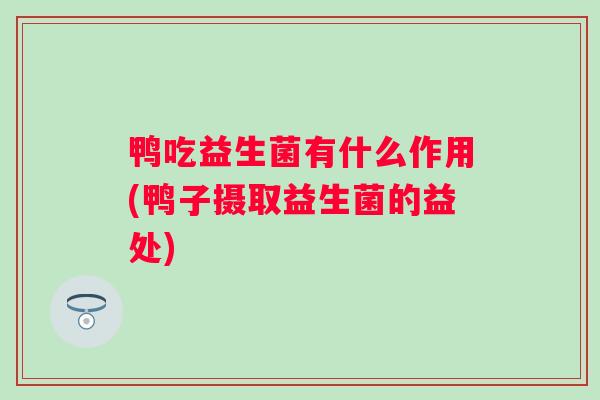 鸭吃益生菌有什么作用(鸭子摄取益生菌的益处) 鸭吃益生菌有什么作用(鸭子摄取益生菌的益处)