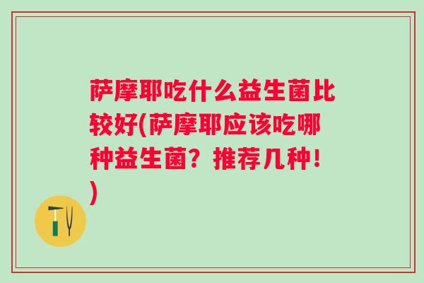 萨摩耶吃什么益生菌比较好(萨摩耶应该吃哪种益生菌?推荐几种!) 萨摩耶吃什么益生菌比较好(萨摩耶应该吃哪种益生菌?推荐几种!)