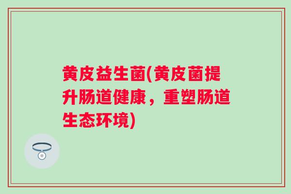 黄皮益生菌(黄皮菌提升肠道健康,重塑肠道生态环境) 黄皮益生菌(黄皮菌提升肠道健康,重塑肠道生态环境)