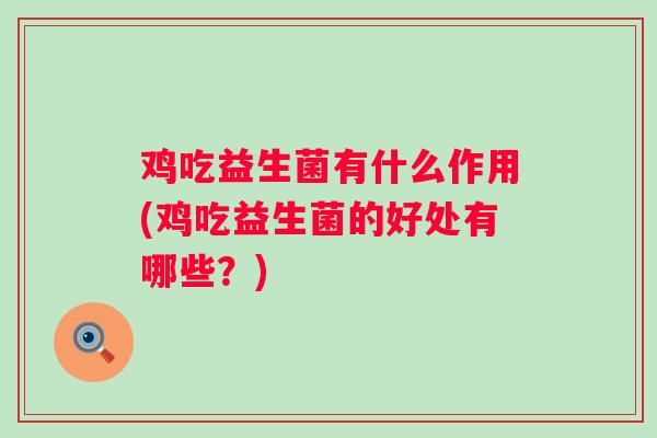 鸡吃益生菌有什么作用(鸡吃益生菌的好处有哪些?) 鸡吃益生菌有什么作用(鸡吃益生菌的好处有哪些?)