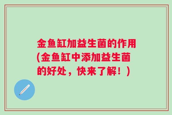 金鱼缸加益生菌的作用(金鱼缸中添加益生菌的好处，快来了解！)