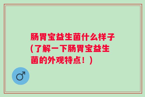 肠胃宝益生菌什么样子(了解一下肠胃宝益生菌的外观特点！)