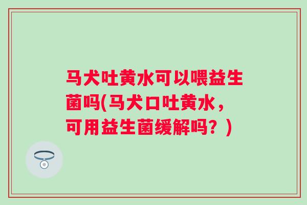 马犬吐黄水可以喂益生菌吗(马犬口吐黄水,可用益生菌缓解吗?) 马犬吐黄水可以喂益生菌吗(马犬口吐黄水,可用益生菌缓解吗?)