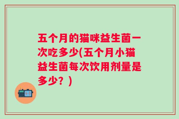 五个月的猫咪益生菌一次吃多少(五个月小猫益生菌每次饮用剂量是多少？)