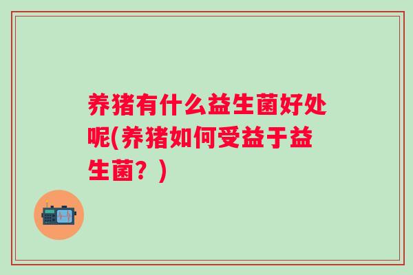 养猪有什么益生菌好处呢(养猪如何受益于益生菌？)