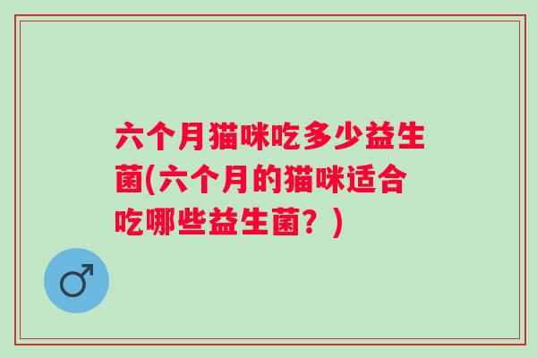 六个月猫咪吃多少益生菌(六个月的猫咪适合吃哪些益生菌？)