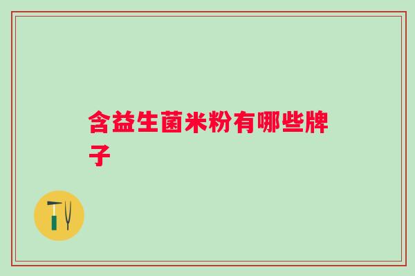 含益生菌米粉有哪些牌子