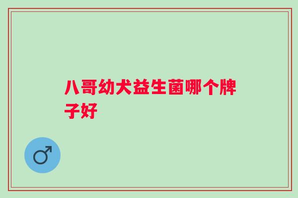 八哥幼犬益生菌哪个牌子好