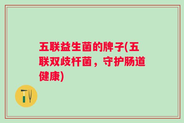 五联益生菌的牌子(五联双歧杆菌，守护肠道健康)