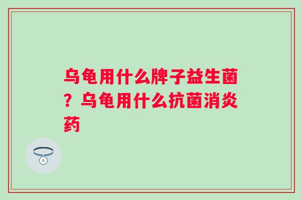 乌龟用什么牌子益生菌?乌龟用什么药 乌龟用什么牌子益生菌?乌龟用什么药