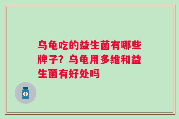 乌龟吃的益生菌有哪些牌子？乌龟用多维和益生菌有好处吗