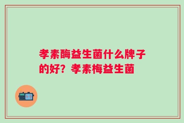 孝素酶益生菌什么牌子的好？孝素梅益生菌
