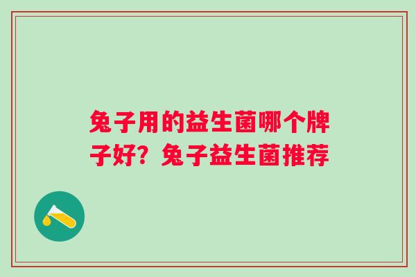 兔子用的益生菌哪个牌子好?兔子益生菌推荐 兔子用的益生菌哪个牌子好?兔子益生菌推荐