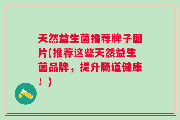 天然益生菌推荐牌子图片(推荐这些天然益生菌品牌，提升肠道健康！)