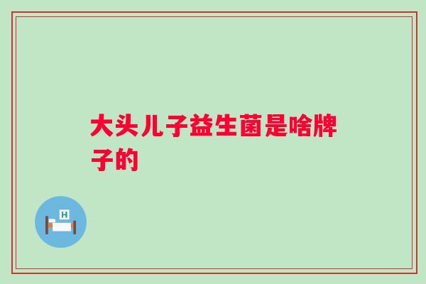 大头儿子益生菌是啥牌子的