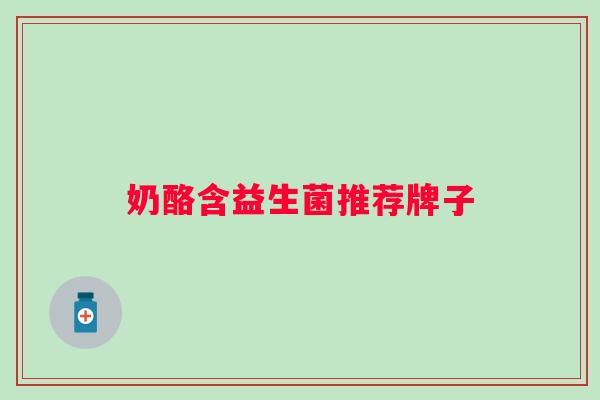 奶酪含益生菌推荐牌子