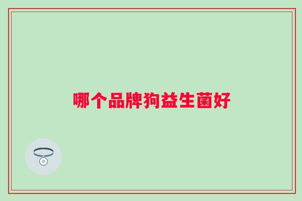 哪个品牌狗益生菌好