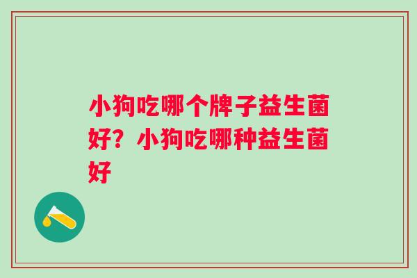 小狗吃哪个牌子益生菌好?小狗吃哪种益生菌好 小狗吃哪个牌子益生菌好?小狗吃哪种益生菌好