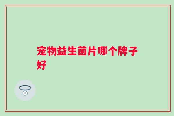 宠物益生菌片哪个牌子好