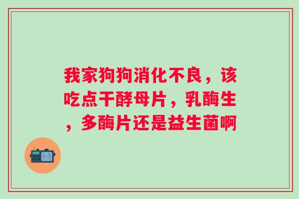 我家狗狗，该吃点干酵母片，乳酶生，多酶片还是益生菌啊