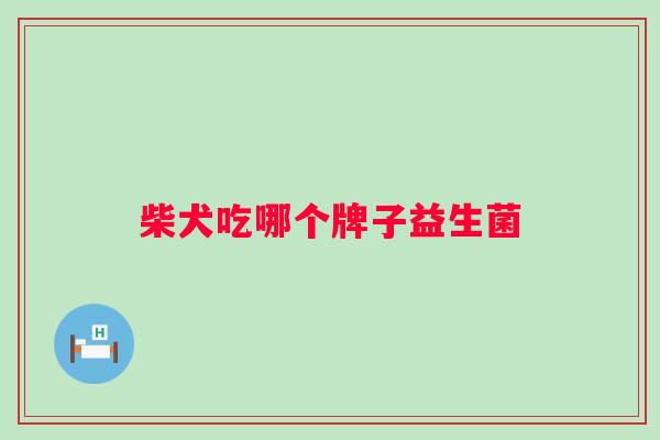柴犬吃哪个牌子益生菌 柴犬吃哪个牌子益生菌
